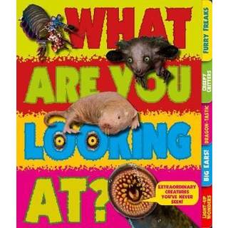 What Are You Looking At?