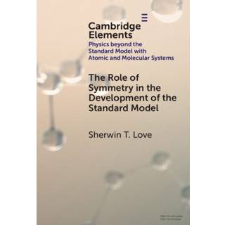 The Role of Symmetry in the Development of the Standard Model