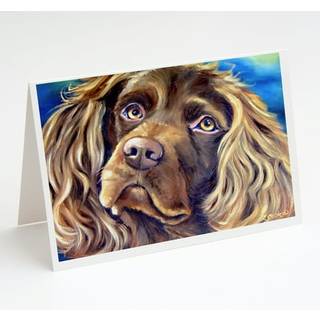 Boykin spaniel lykønskningskort og konvolutter pakning af 8