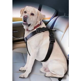 Sikkerhedssele Flamingo Car Safety Sele Dog XL