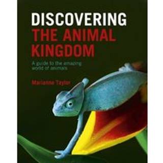 Discovering The Animal Kingdom