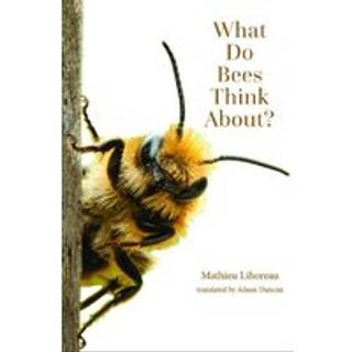 What Do Bees Think About?