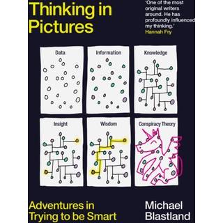 Thinking in Pictures