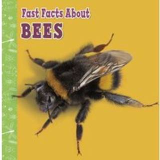Fast Facts About Bees