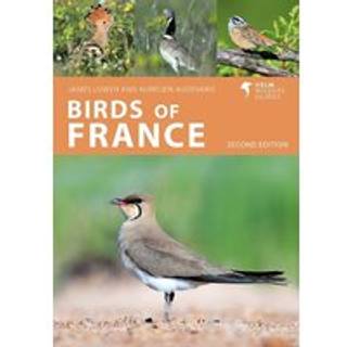 Birds of France