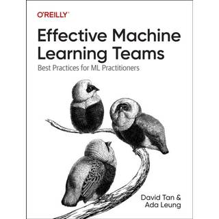 Effective Machine Learning Teams
