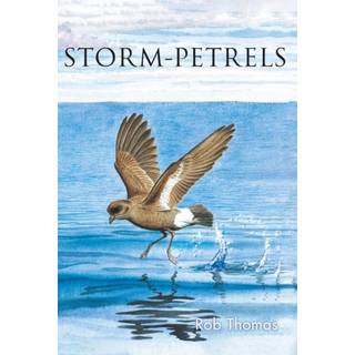 The Storm-petrels