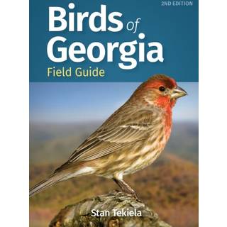 Birds of Georgia Field Guide