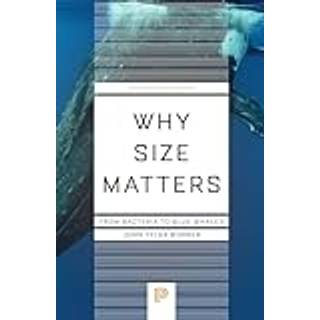 Why Size Matters