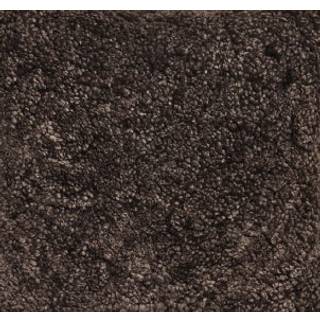 Emily spisebordsstol | Korthåret