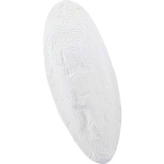 Sepiaskaller hvid 15-20cm 1kg