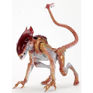 Aliens Action Figur Panther Alien 22cm