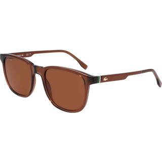 Lacoste Mand L6029S 210 Solbriller Bio-injekt Brun Brun Firkantet Normal