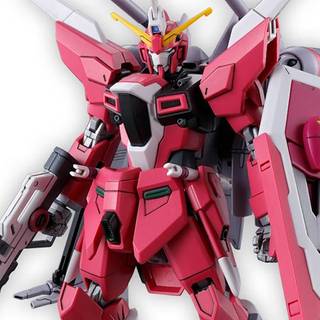 HG Infinite Justice Gundam Type-2 1/144