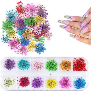 1 kasse tørrede blomster til neglekunst Uime 12 farver tør blomster mini ægte naturlige blomster neglekunst forsyninger 3d applikation negledekor