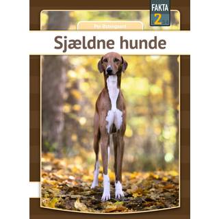Sjældne hunde