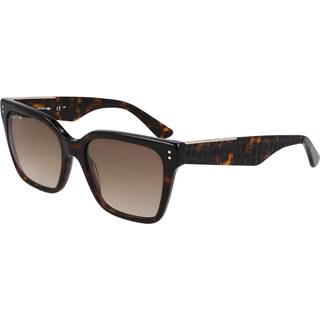 Lacoste Kvinde L6022S 230 Solbriller Acetat Havana Firkantet Normal Normal