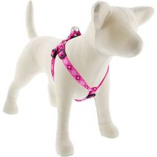 Lupinepet Originals 3/4 """" Hvalpekærlighed 15-21 """" Trin i sele for små hunde