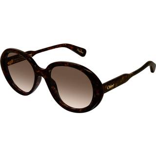 Chloé Kvinde CH0221S 002 Solbriller Acetat Havana Brun Rund