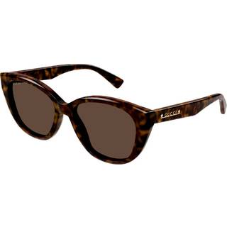 Gucci Kvinde Gucci GG1588S 002 Solbriller Acetat Havana Brun Cat Eye