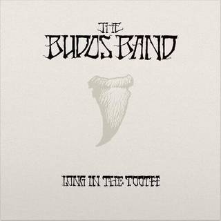 Budos Band - Long In The Tooth