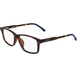 Lacoste Mand L3637 214 Optiske stel Plast Havana Firkantet