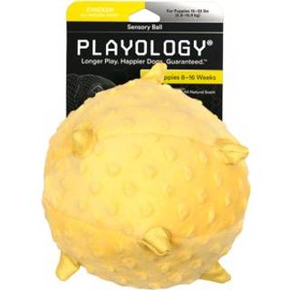 Playology hundehvalp til sanseudvikling | Jumbo strrelse udstoppet tygge hundelegetj med squeaker til hvalpe 50lbs og opefter | Engagerende leg