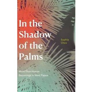 In the Shadow of the Palms