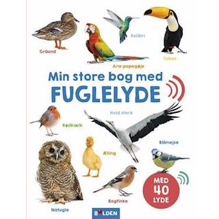 Bog - Min store bog med fuglelyde - 40 lyde