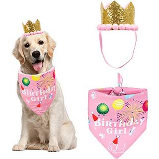AdoggyGo Dog Bandana Hat Set til fødselsdagsfest Supply Boy Girl Puppy Birthday Scarf til Lille Medium Dog (Pink Scarf & Crown)