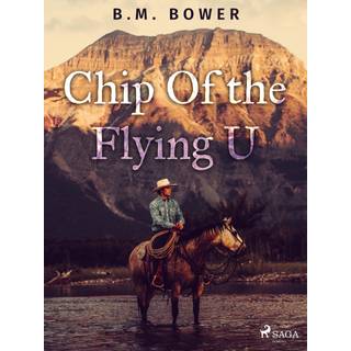 Chip Of the Flying U