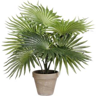 Palme 40 cm høj