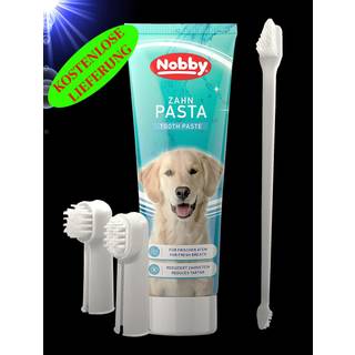 Toothbrush Set with Toothpaste mint