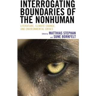 Interrogating Boundaries of the Nonhuman