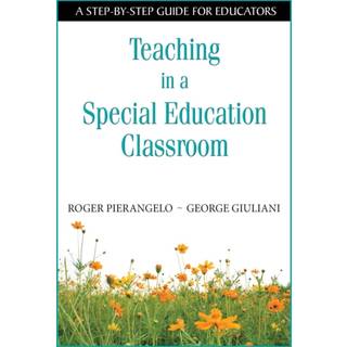 Teaching in a Special Education Classroom