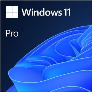 Microsoft Windows 11 Pro 64 Bit