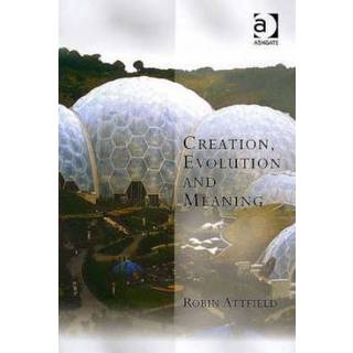 Creation, Evolution and Meaning