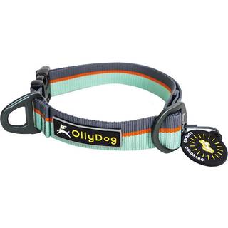 OllyDog Flagstaff Collar  Surf, S