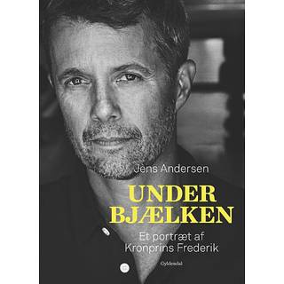 Under bjælken - Et portræt af Kronprins Frederik (På lager i varehus)