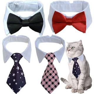 Myears kvinder huggie hoop ?reringe guld ?re stud manchet rund turkis indl?g blomstrer 14k guld fyldt lille boho strand enkel delikat h?ndlavet h