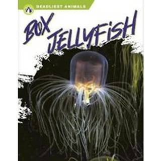 Box Jellyfish