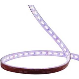 Ledstrip 24V Ip67 Rgbw 5M Solar