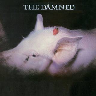 The Damned - Strawberries