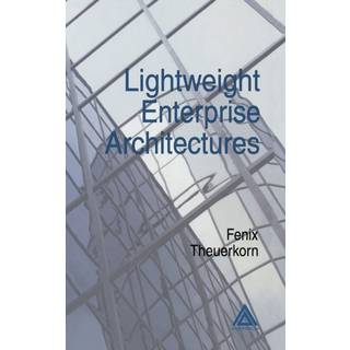 Lightweight Enterprise Architectures