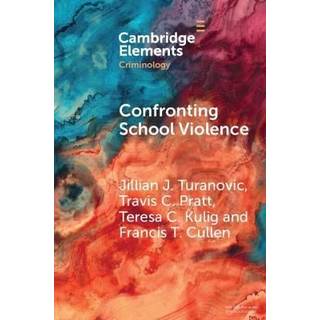 Confronting School Violence