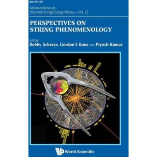 Perspectives On String Phenomenology