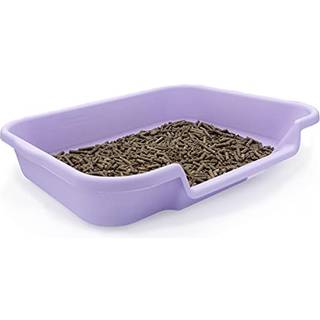 Kittygohere Senior Cat Litter Box 1 Pack Stor historiebog Lavendel Lav indgang Kitty kuldboks st?rrelse til katte Komfort perfekt til senior- og