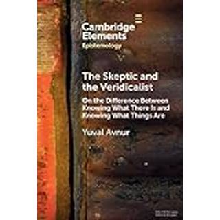 The Skeptic and the Veridicalist