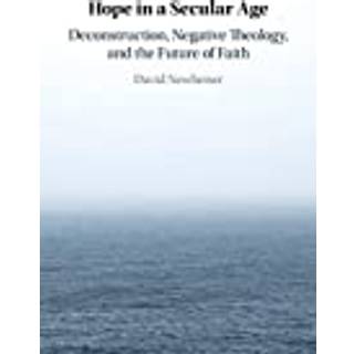 Hope in a Secular Age