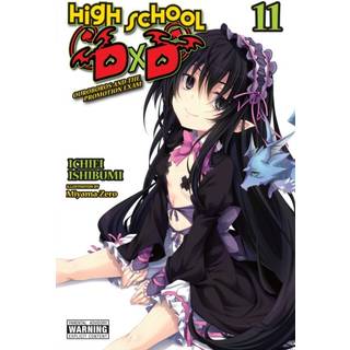 High School DxD, Vol. 11 (light novel)
